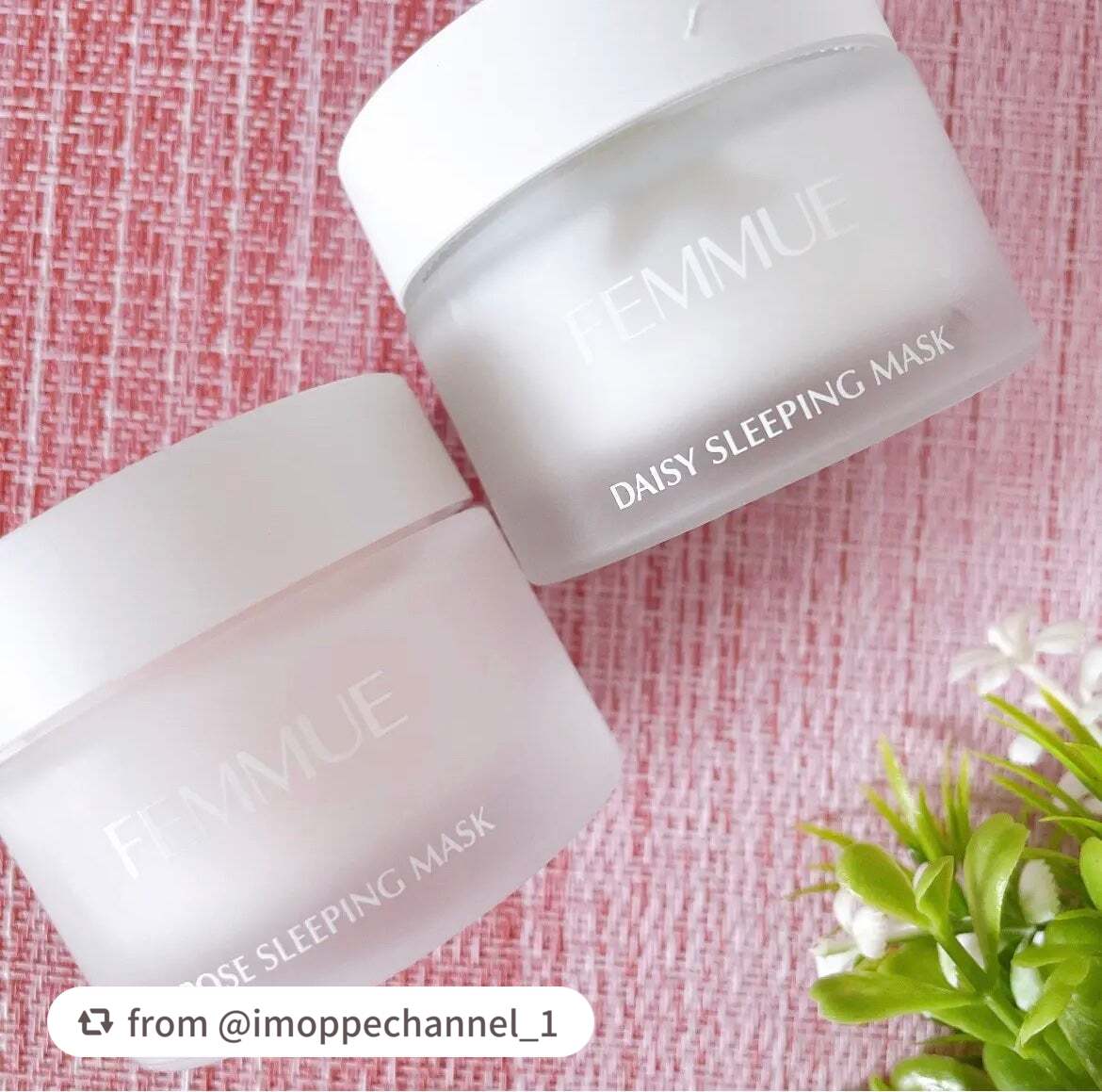 ローズウォーター スリーピングマスク/FEMMUE/フェイスクリームを使ったクチコミ(4枚目)