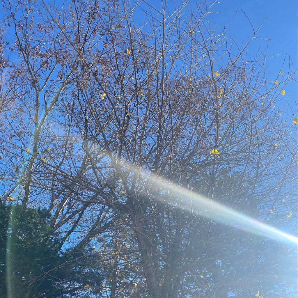 ジェルネイル/ジェルミーワン/ジェルネイルを使ったクチコミ(3枚目)