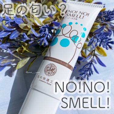 北の快適工房 ノーノースメルのクチコミ「足の匂い？ NO!NO! SMELL!



北の快適工房様より
なんともおもしろいネーミング.....」（1枚目）