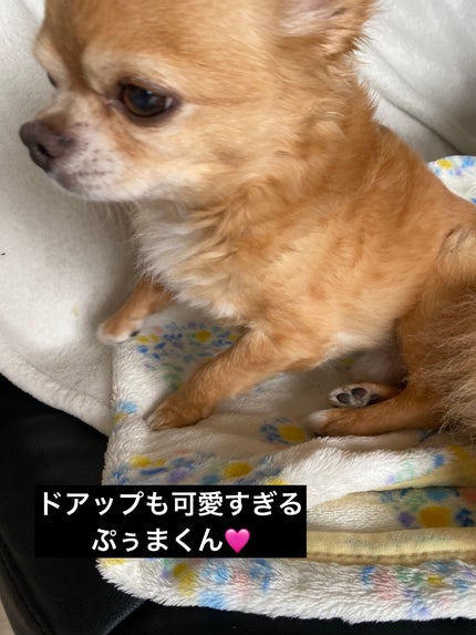 スムージング シートマスク/SNIDEL BEAUTY/シートマスク・パックを使ったクチコミ(8枚目)