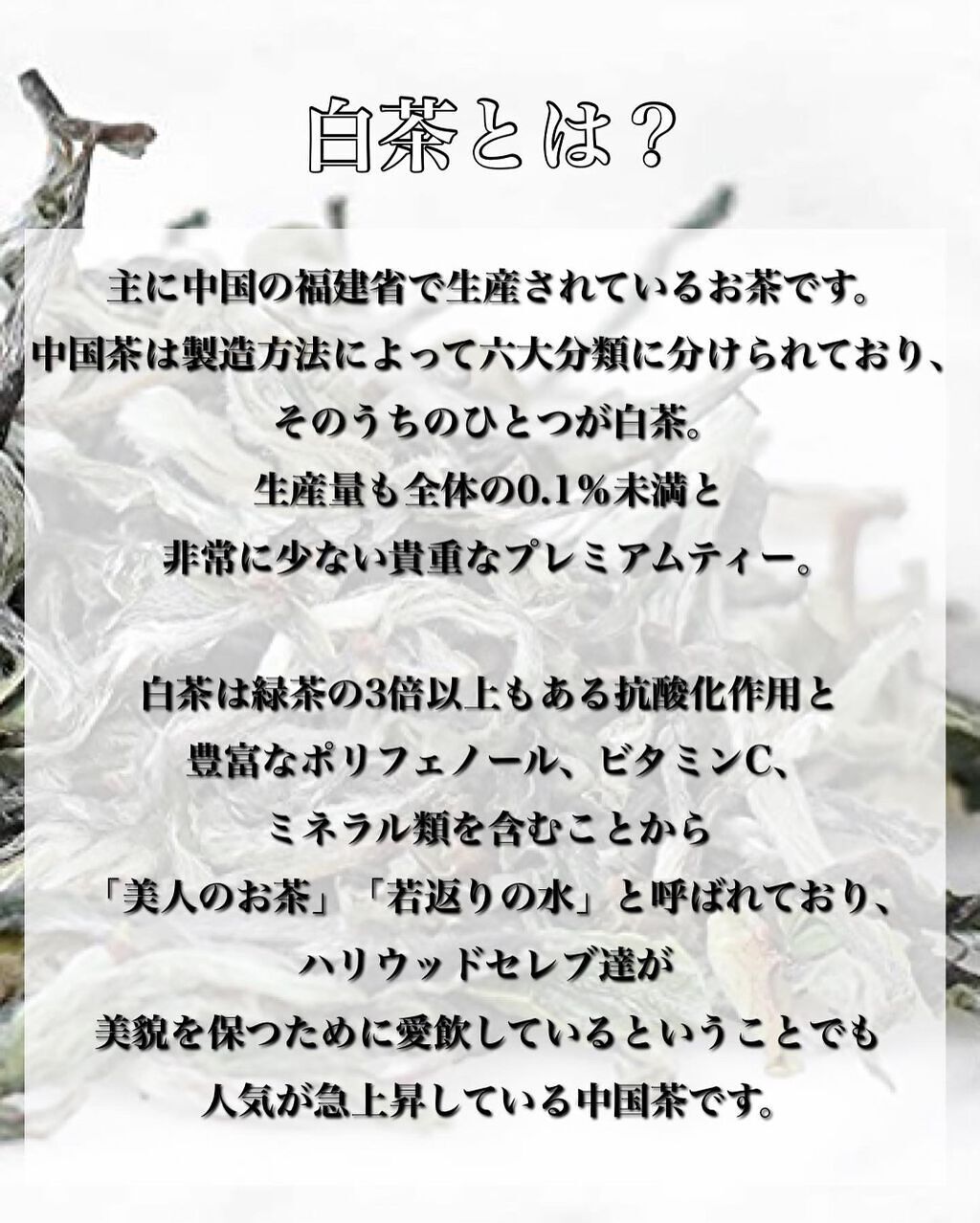 白茶/白茶専門店 一寧/ドリンクを使ったクチコミ(2枚目)