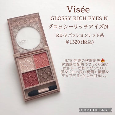 グロッシーリッチ アイズ N/Visée/アイシャドウパレットを使ったクチコミ（2枚目）