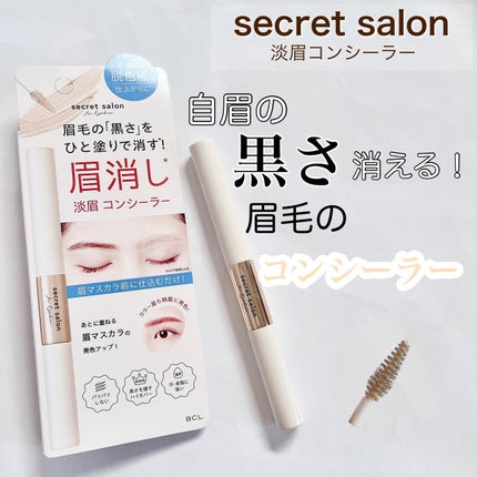 淡眉コンシーラー/シークレットサロン/眉マスカラを使ったクチコミ(1枚目)
