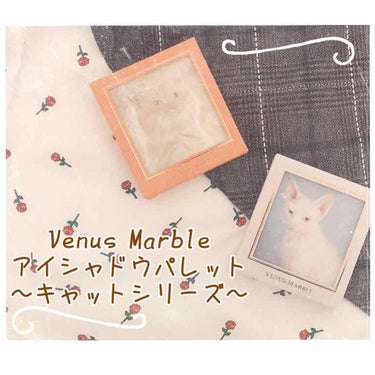 Venus Marble アイシャドウキャットシリーズ/Venus Marble/アイシャドウパレットを使ったクチコミ（1枚目）