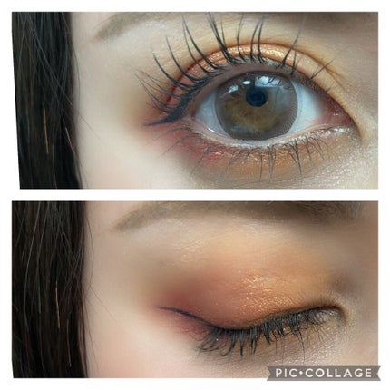 アニマルアイシャドウ(4シェード)/ZEESEA/アイシャドウパレットを使ったクチコミ(2枚目)