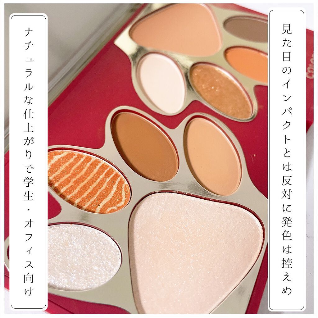 トラ十色アイシャドウパレット/COLORKEY/アイシャドウパレットを使ったクチコミ(3枚目)