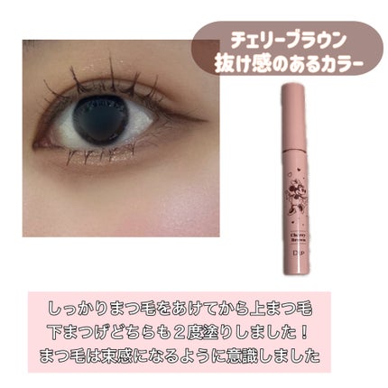 ティアー アイライナー/ETUDE/リキッドアイライナーを使ったクチコミ(6枚目)