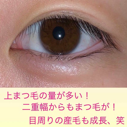 ラッシュジェリードロップ EX/MAJOLICA MAJORCA/まつげ美容液を使ったクチコミ(2枚目)