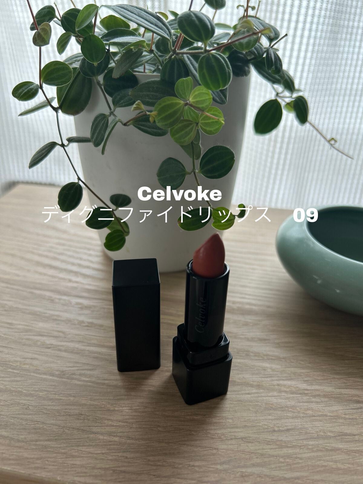 ディグニファイド リップス/Celvoke/口紅を使ったクチコミ(1枚目)