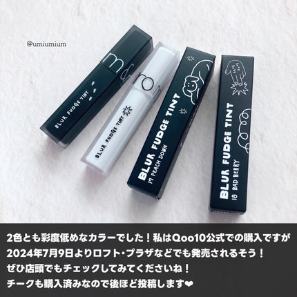 rom&nd ブラーファッジティント/rom&nd/リップティントを使ったクチコミ(6枚目)