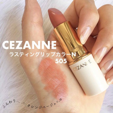 ラスティング リップカラーN 104/CEZANNE/口紅を使ったクチコミ（1枚目）