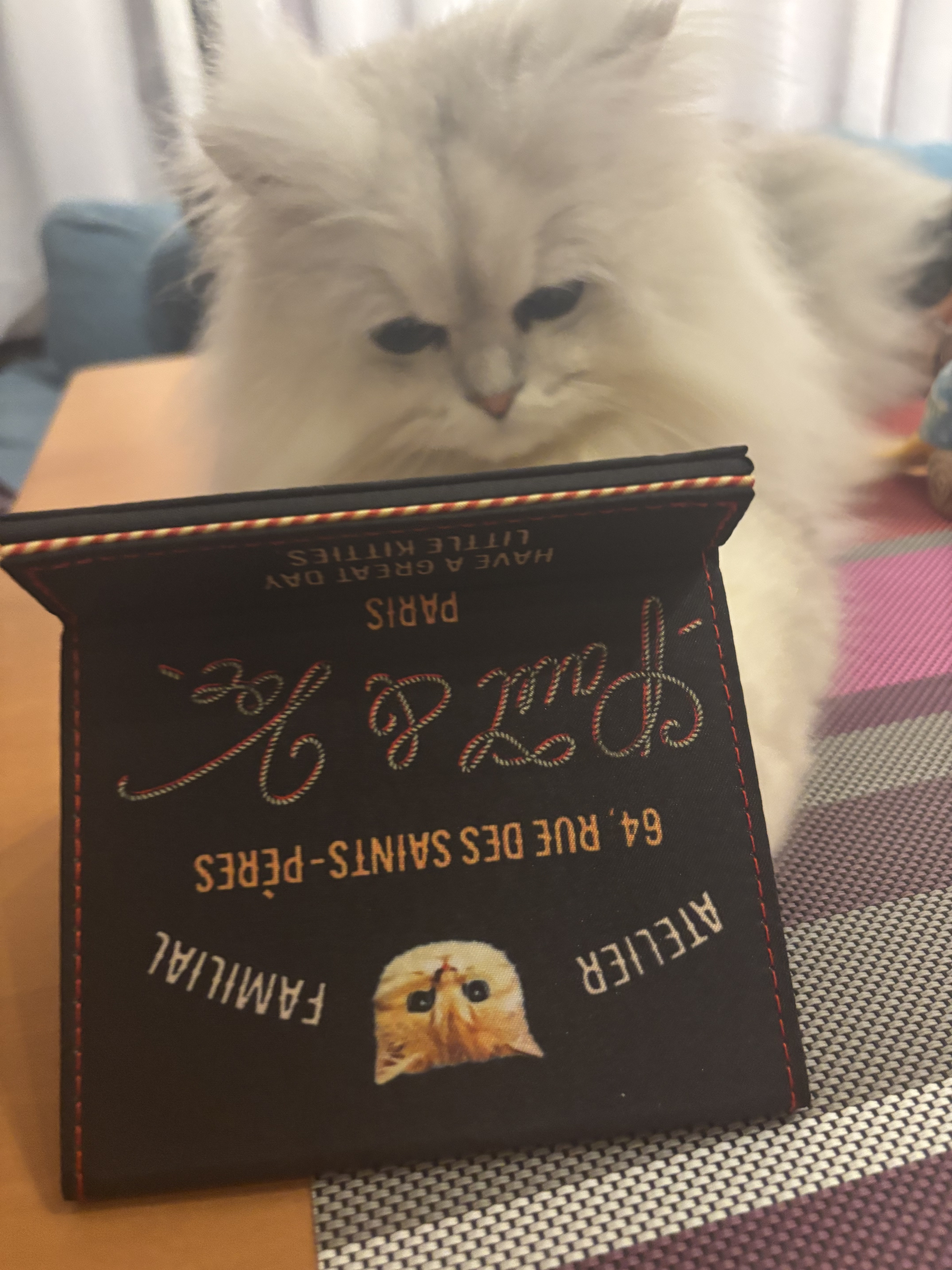 ポール＆ジョー/PAUL & JOE BEAUTE/その他化粧小物を使ったクチコミ（1枚目）