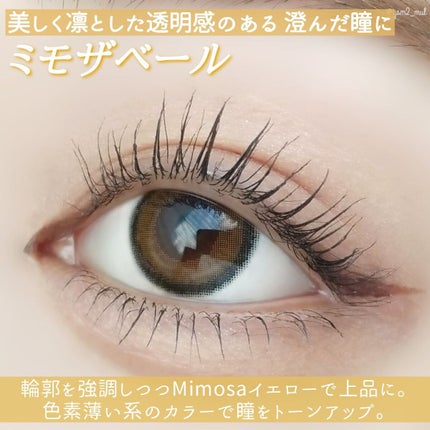 耐久カールマスカラ/CEZANNE/マスカラを使ったクチコミ(6枚目)