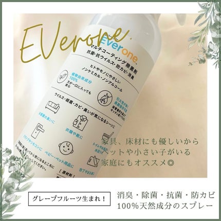 エバーワン マルチ消臭・除菌・抗菌スプレー/DR.GSE/その他を使ったクチコミ(3枚目)