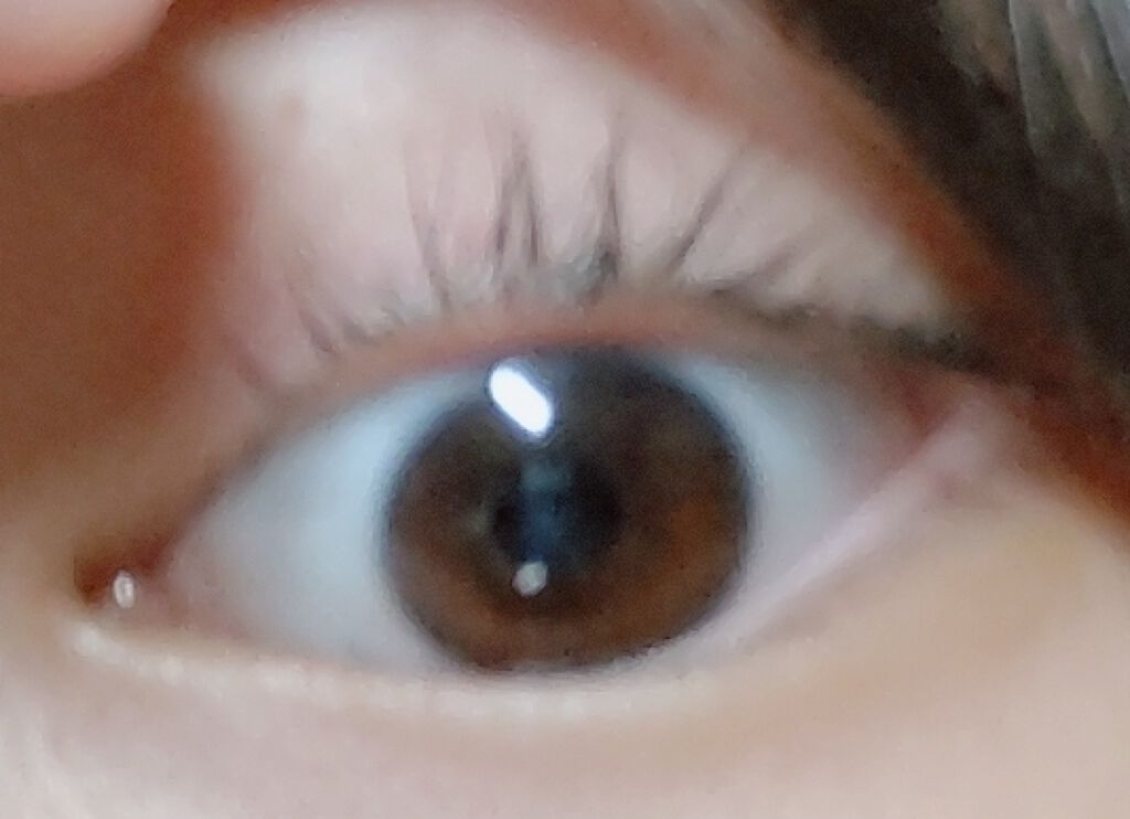 ラッシュケアエッセンス/キャンメイク/まつげ美容液を使ったクチコミ(2枚目)