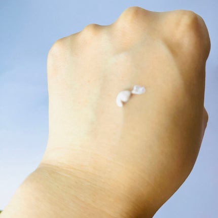 プライマーL/ディエム クルール/化粧下地を使ったクチコミ(5枚目)