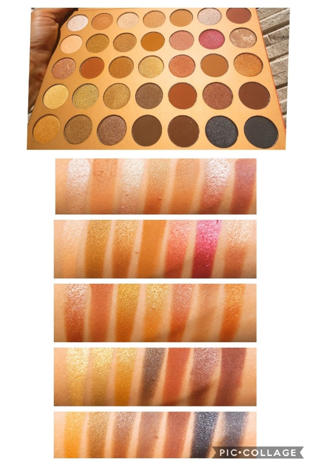 35G BRONZE GOALS/Morphe/アイシャドウパレットを使ったクチコミ(3枚目)