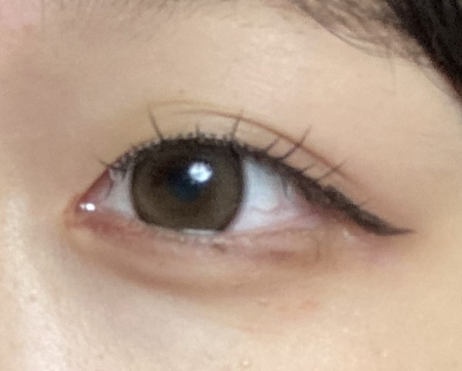 エバーカラーワンデー ナチュラル/エバーカラー/ワンデー（１DAY）カラコンを使ったクチコミ（1枚目）