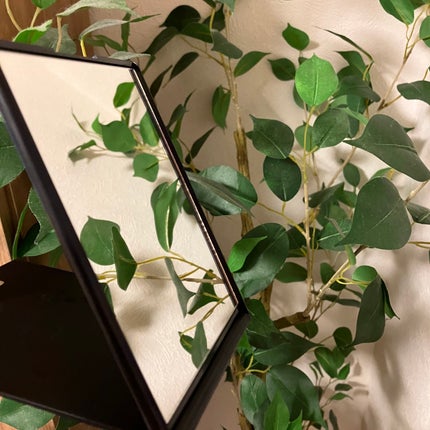 リアルックミラー/ロージーローザ/その他化粧小物を使ったクチコミ(2枚目)