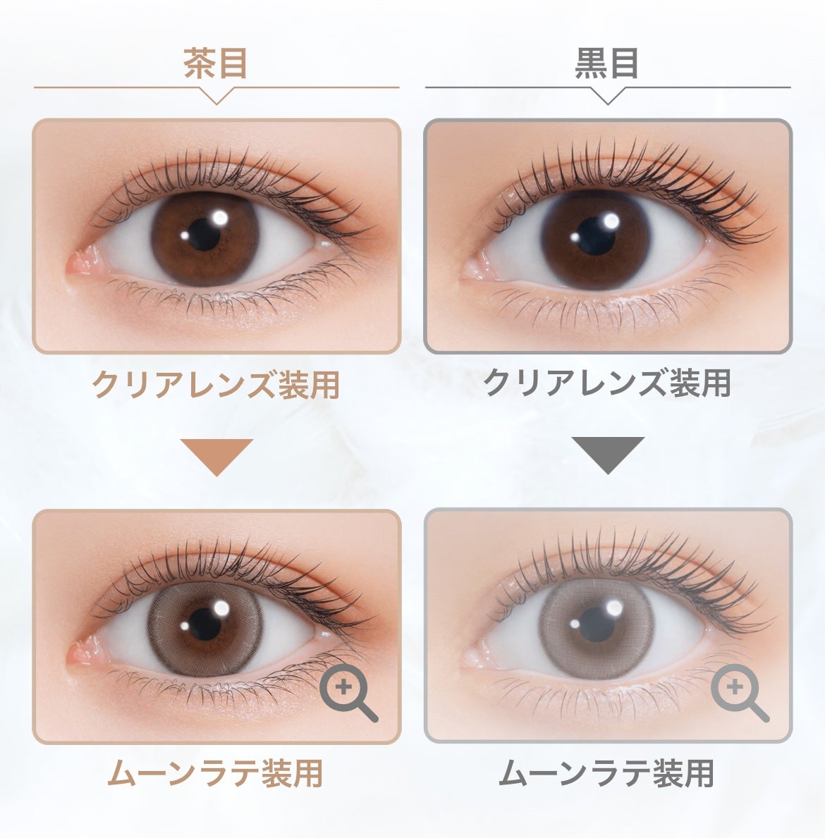 mimi charme 1day/mimi charme/ワンデー(1DAY)カラコンを使ったクチコミ(2枚目)