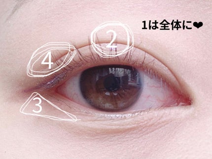 Venus Marble アイシャドウキャットシリーズ/Venus Marble/アイシャドウパレットを使ったクチコミ(5枚目)