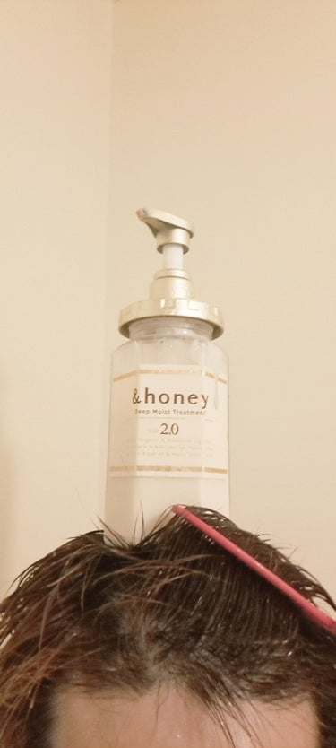 ディープモイスト シャンプー1.0／ヘアトリートメント2.0/&honey/シャンプー・コンディショナーを使ったクチコミ（1枚目）