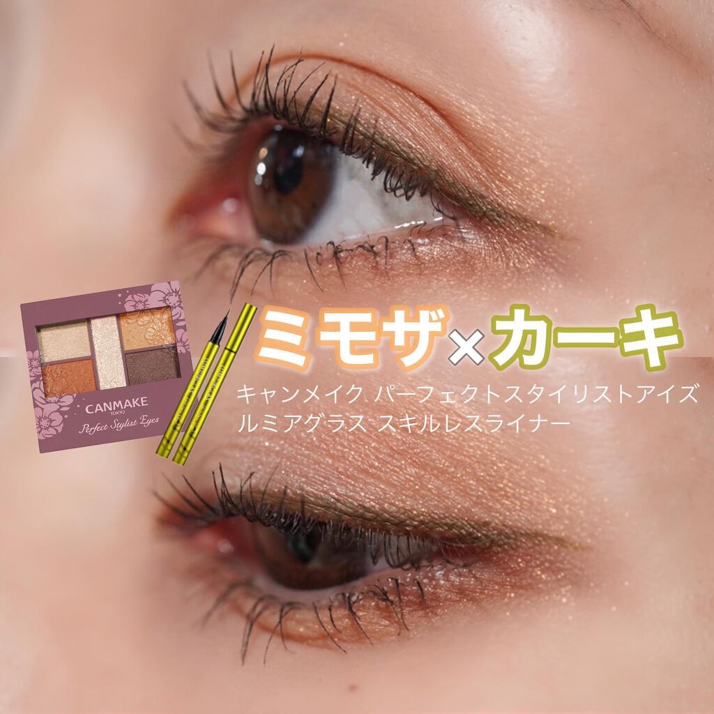 スキルレスライナー/LUMIURGLAS/リキッドアイライナーを使ったクチコミ（1枚目）