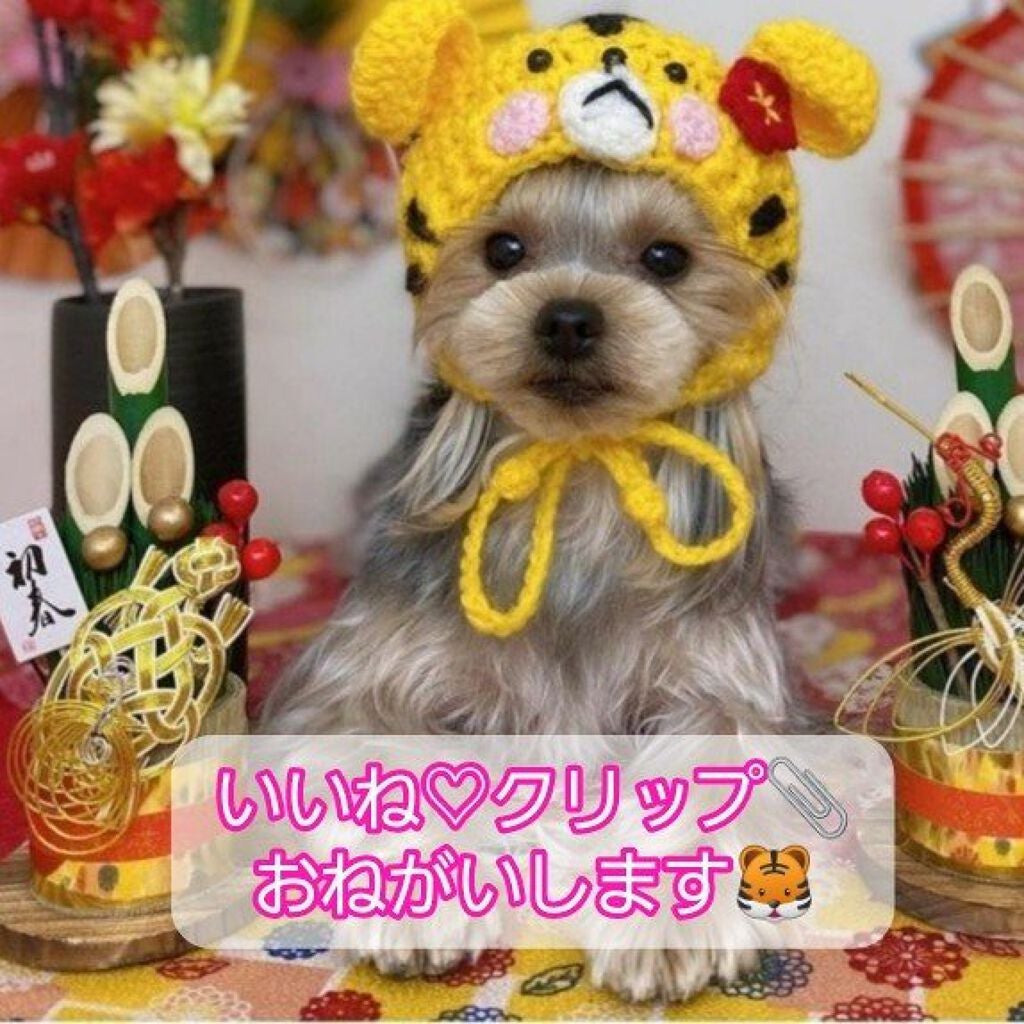 クイッククリスタルコートⅡ/ネイリスト/ネイルトップコートを使ったクチコミ(2枚目)