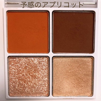 THE アイパレR/b idol/アイシャドウパレットを使ったクチコミ(5枚目)