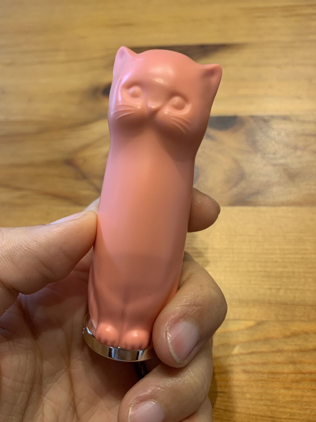 リップスティック トリートメント/PAUL & JOE BEAUTE/リップケアを使ったクチコミ（1枚目）