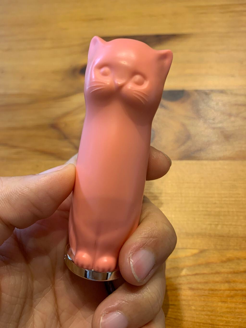 リップスティック トリートメント/PAUL & JOE BEAUTE/リップケアを使ったクチコミ(1枚目)