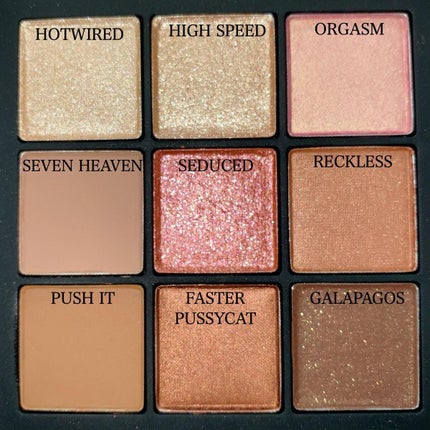 オーガズムライジング アイシャドーパレット/NARS/アイシャドウパレットを使ったクチコミ(3枚目)