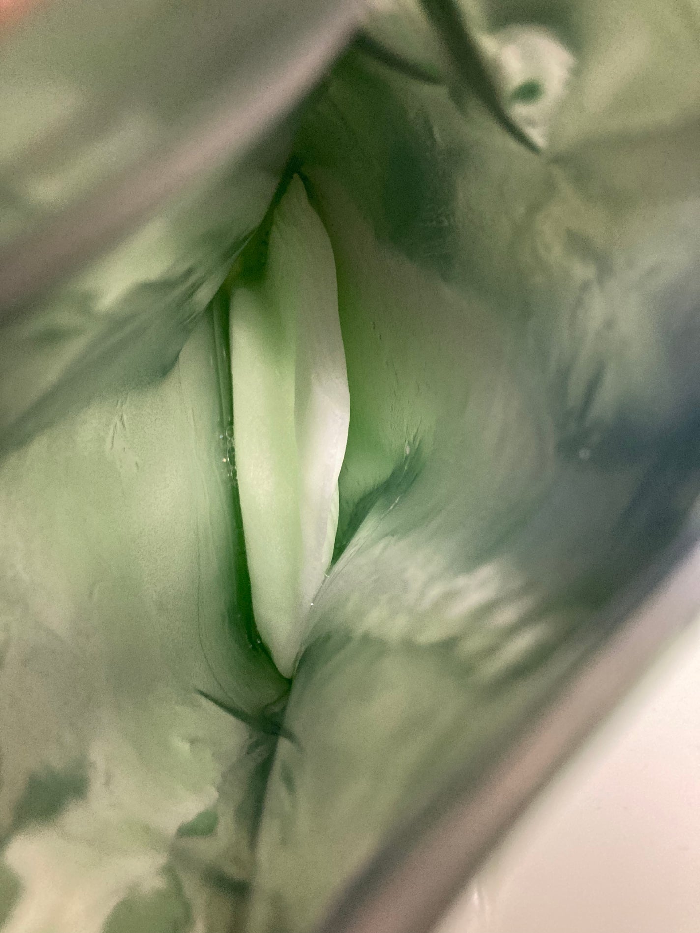 シカレチA セブンデイズマスク/VT/シートマスク・パックを使ったクチコミ(5枚目)