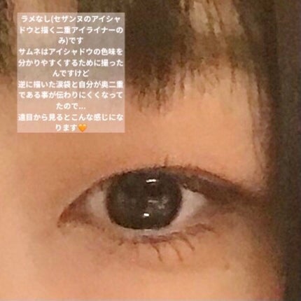 ラスティングマルチアイベース WP/キャンメイク/アイシャドウベースを使ったクチコミ(2枚目)