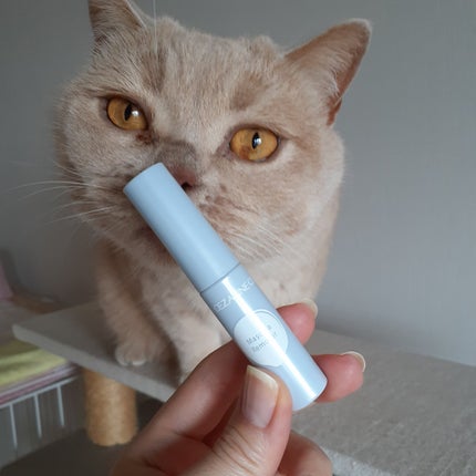 マスカラリムーバー/CEZANNE/ポイントメイクリムーバーを使ったクチコミ(4枚目)