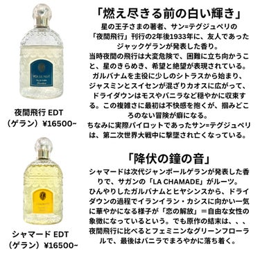 シャネル N°19 パルファム/CHANEL/香水(レディース)を使ったクチコミ（4枚目）