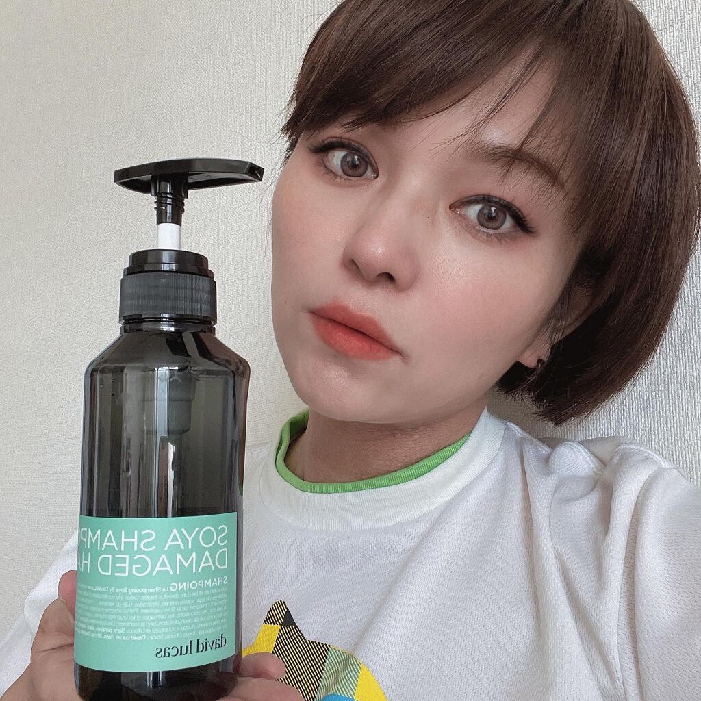 ソヤシャンプー ダメージヘア/David Lucas/シャンプー・コンディショナーを使ったクチコミ（2枚目）