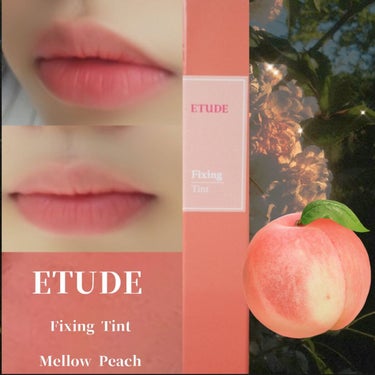 フィクシングティント/ETUDE/口紅を使ったクチコミ（1枚目）