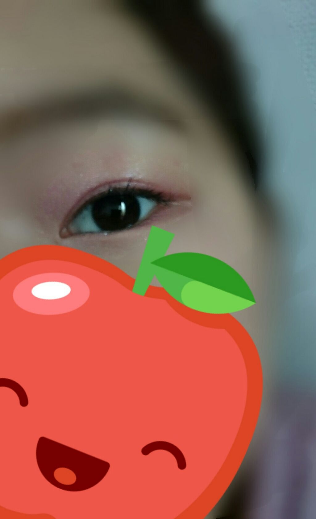 ワイドルックアイズ/インテグレート/アイシャドウパレットを使ったクチコミ(2枚目)