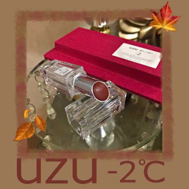  38°C / 99°F Lipstick <TOKYO>/UZU BY FLOWFUSHI/口紅を使ったクチコミ（1枚目）