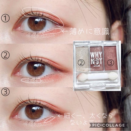 WHY NOT SPINNS 3色アイシャドウ/DAISO/アイシャドウパレットを使ったクチコミ(2枚目)