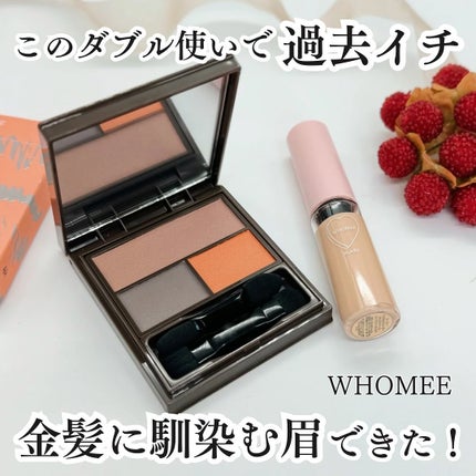 フーミー マルチアイブロウパウダー/WHOMEE/パウダーアイブロウを使ったクチコミ(1枚目)