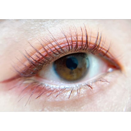 Love Palette/Natasha Denona/アイシャドウパレットを使ったクチコミ(3枚目)