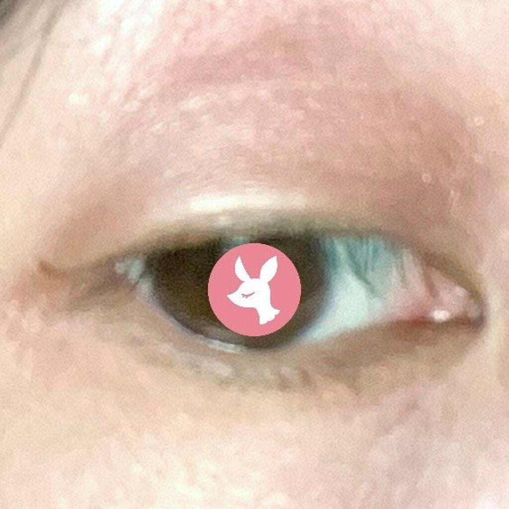 麻雀アイシャドウ/和粧/単色アイシャドウを使ったクチコミ(5枚目)