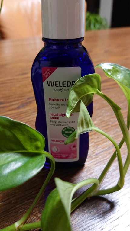 ワイルドローズ モイスチャーローション/WELEDA/化粧水を使ったクチコミ(2枚目)