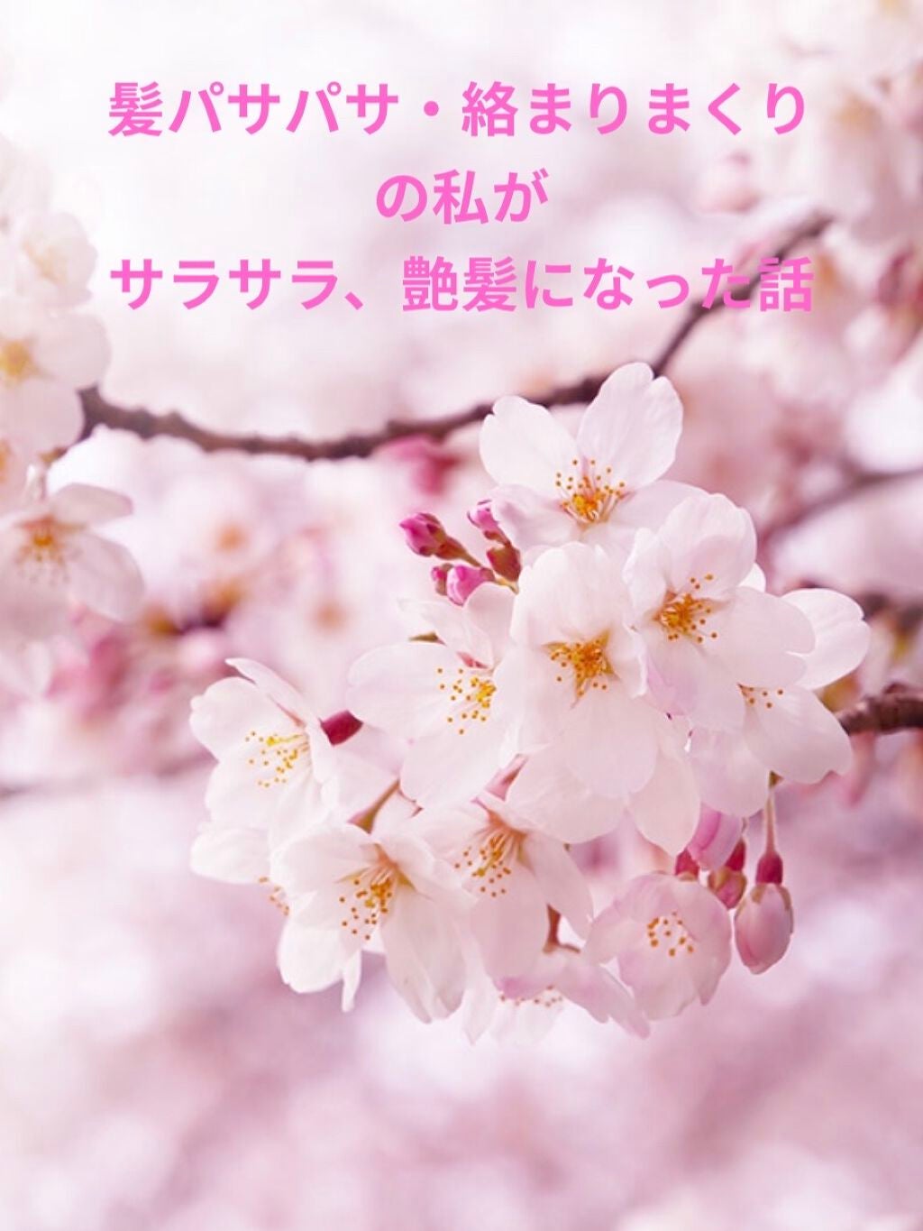 アミノ シュープリーム シャンプー/トリートメント(ベルベットメロウ)/Je l'aime/市販シャンプーを使ったクチコミ(1枚目)