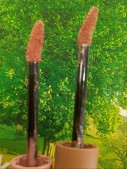 エテュセ アイエディション(リキッドカラー)/ettusais/リキッドアイシャドウを使ったクチコミ(2枚目)