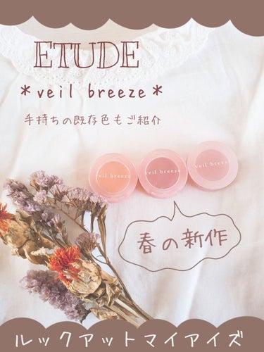 ＜ヴェールブリーズコレクション＞ルックアット マイアイシリーズ/ETUDE/シングルアイシャドウを使ったクチコミ（1枚目）