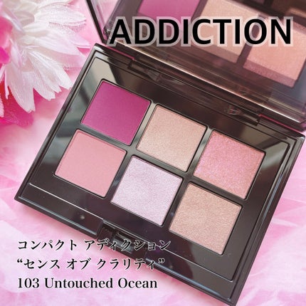 コンパクトアディクション センス オブ クラリティ/ADDICTION/アイシャドウパレットを使ったクチコミ(1枚目)