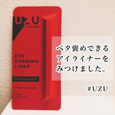 EYE OPENING LINER/UZU BY FLOWFUSHI/リキッドアイライナーを使ったクチコミ（1枚目）